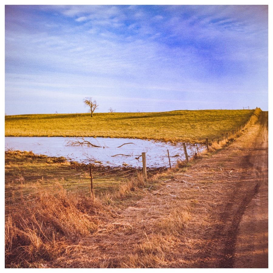 Gravel road between fields